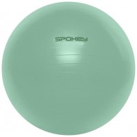 FITBALL Gymnastický míč 75 cm včetně pumpičky, zelený 