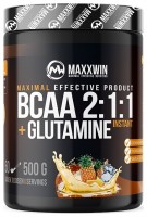 BCAA + GLUTAMINE 500 g 