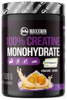 100% CREATINE 500 g 