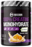 100% CREATINE 500 g 