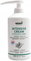 Intensive creme 500ml s pumpou dry skin + lanolin 