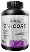 ZM-CORE 