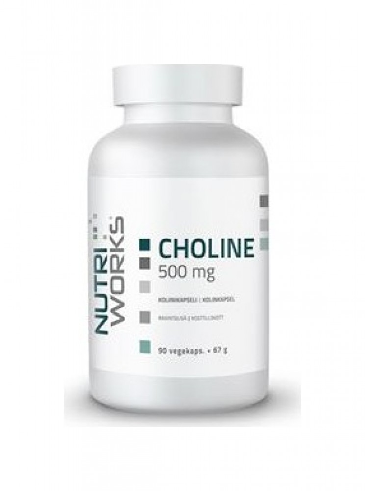 Choline 500 mg 90 kapslí