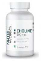 Choline 500 mg 90 kapslí 