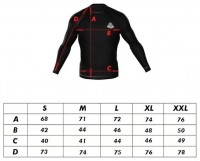 Pánské tréninkové tričko DBX Rashguard RSL Black 