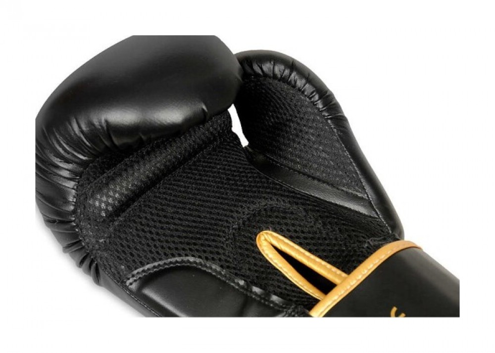 Boxerské rukavice DBX B-2v17