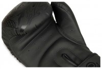 Boxerské rukavice DBX B-2v18 
