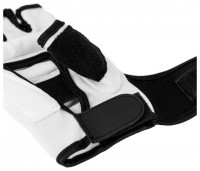 Rukavice na taekwondo DBX DBX-T-1 