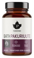 Earth Chaga BIO 60 kapslí (Pakuriuute) 