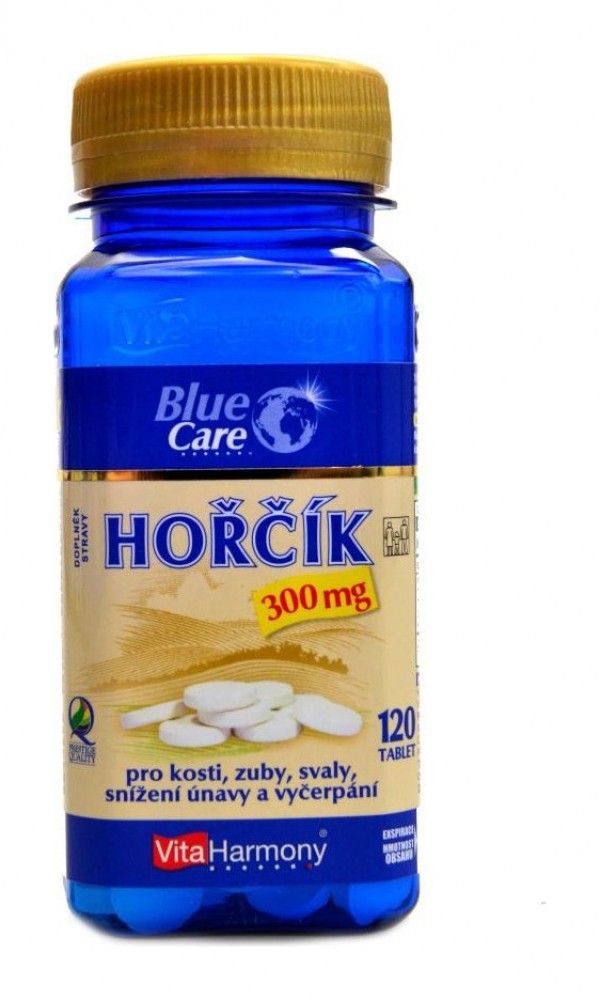 Hořčík 300 mg 120 tablet