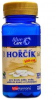 Hořčík 300 mg 120 tablet 