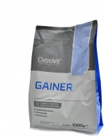 Gainer 1000 g 