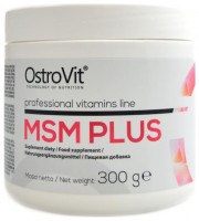 MSM plus 300 g 