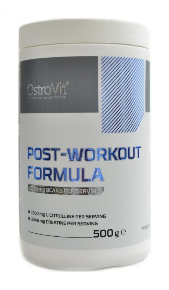 Post workout formula 500g