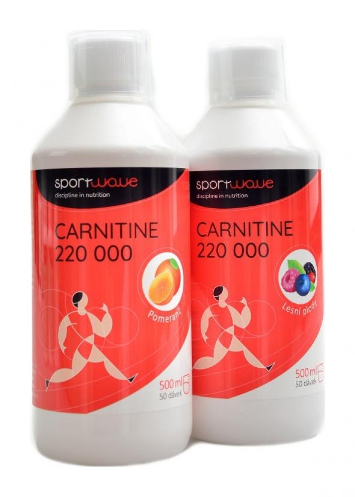 L-Carnitine 220000 2 x 500 ml