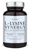 L-Lysine Synergy 90 kapslí 