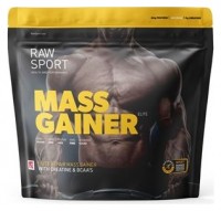 Elite Plant Mass Gainer 2,5kg lemon cheesecake 