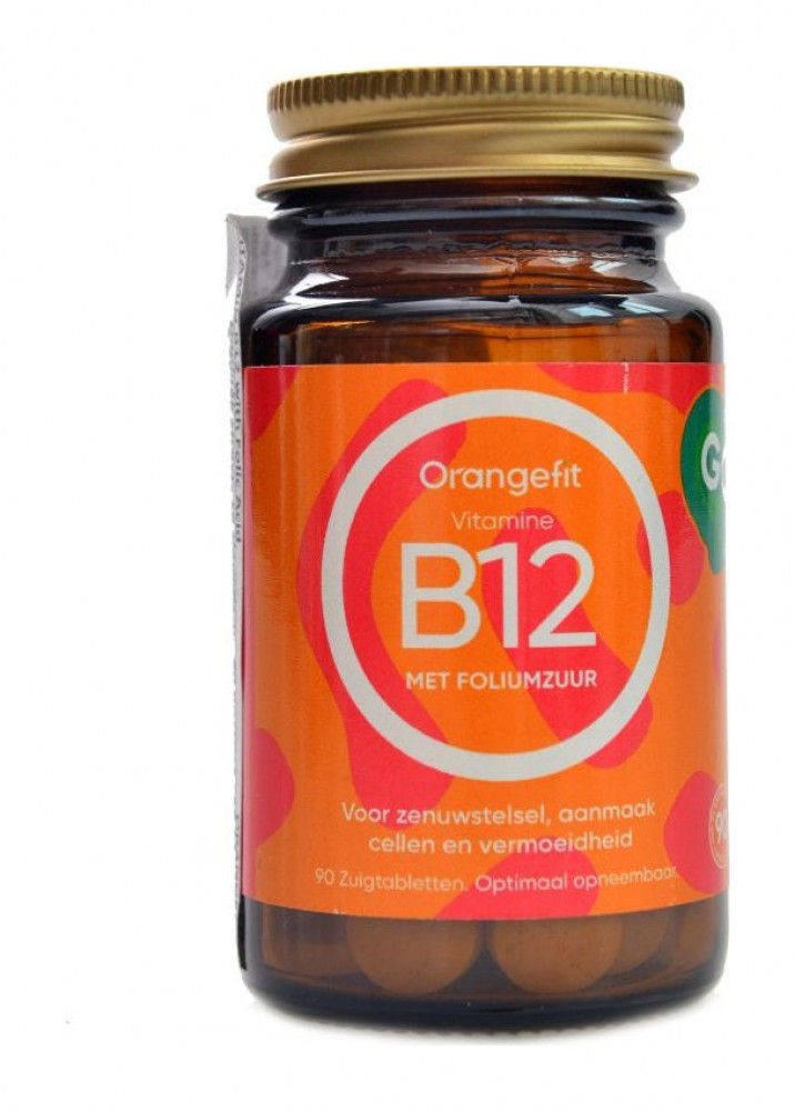 Vitamine B12 with Folic Acid 90 pastilek