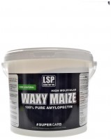 Waxy Maize 4000 g amylopectin 