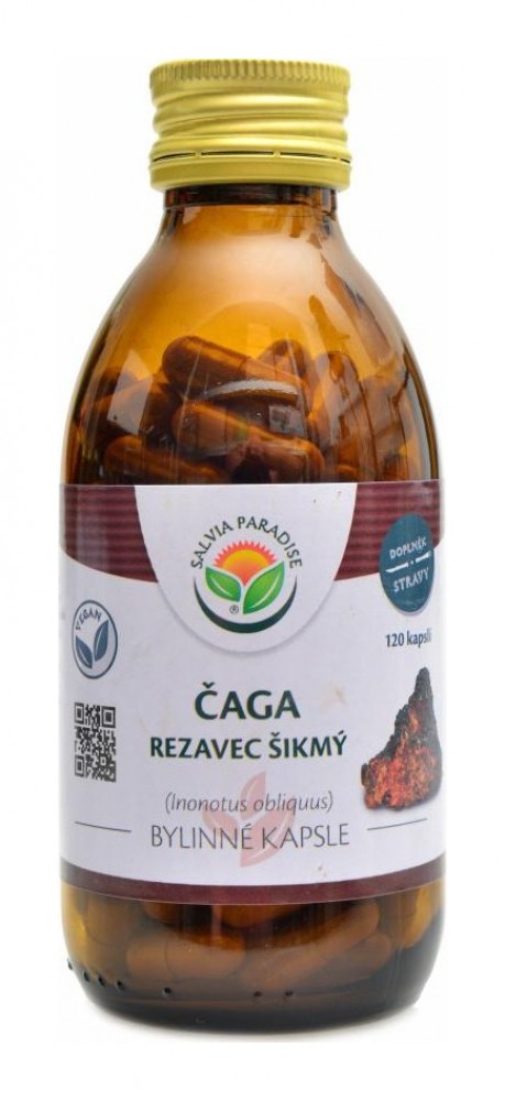 Čaga rezavec šikmý 120 kapslí  Chaga