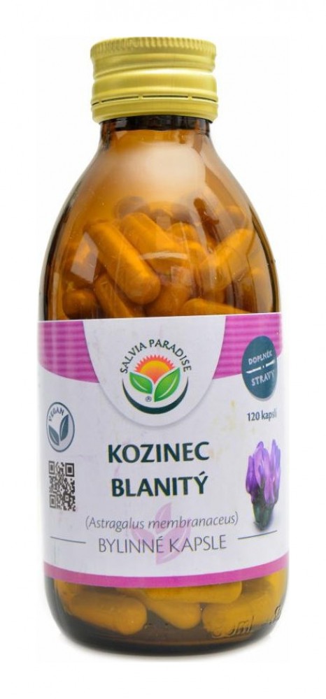 Kozinec blanitý 120 kapslí  Astragalus membranaceus