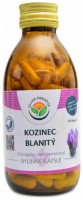 Kozinec blanitý 120 kapslí  Astragalus membranaceus 