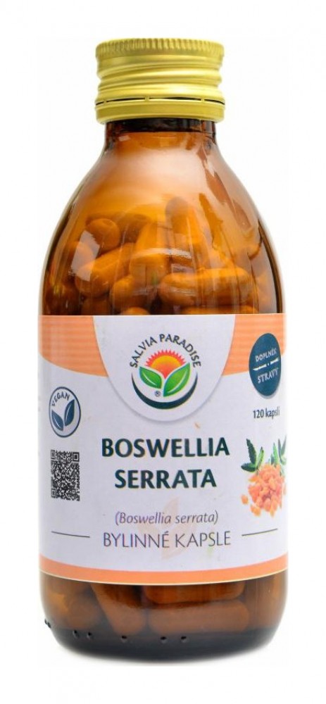 Boswellia serrata 120 kapslí kadidlovník