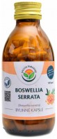 Boswellia serrata 120 kapslí kadidlovník 