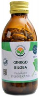 Ginkgo biloba jinan 120 kapslí 