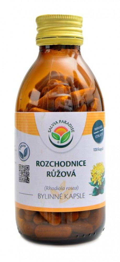 Rozchodnice růžová rhodiola rosea 120 kapslí