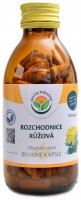 Rozchodnice růžová rhodiola rosea 120 kapslí 