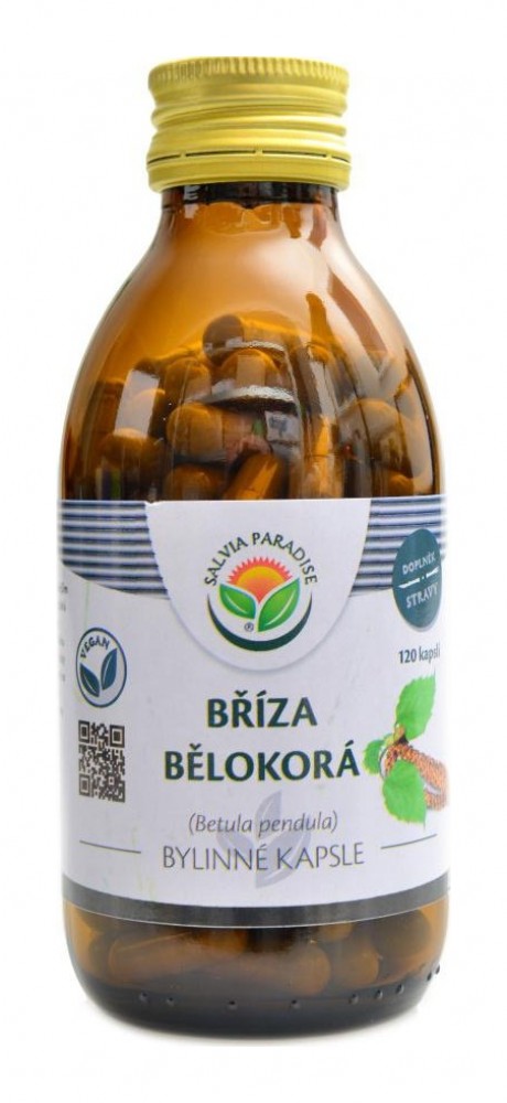 Bříza bělokorá 120 kapslí Betula pendula