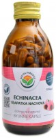 Echinacea třapatka nachová 120 kapslí Echinacea purpurea 