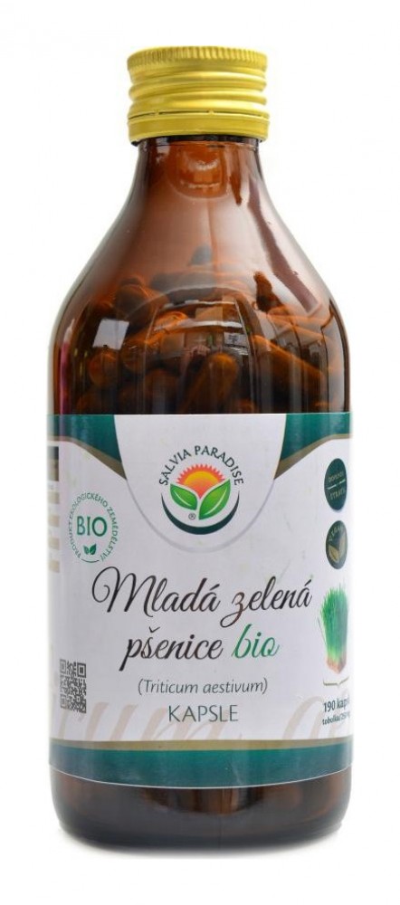 Mladá zelená pšenice 190 kapslí Triticum aestivum