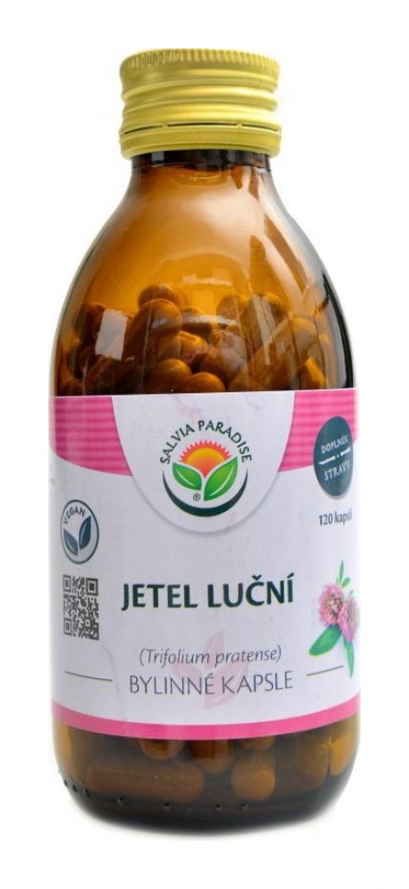Jetel luční 120 kapslí Trifolium pratense