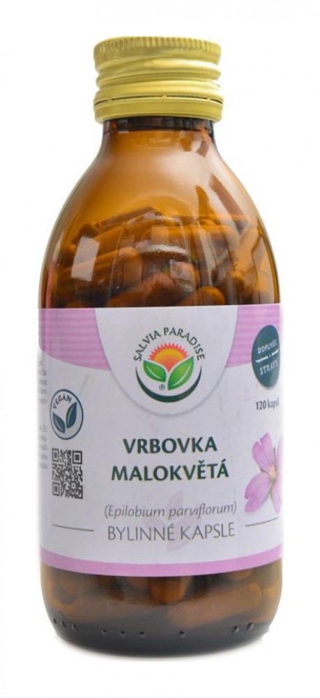 Vrbovka malokvětá 120 kapslí Epilobium parviflorum