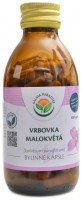 Vrbovka malokvětá 120 kapslí Epilobium parviflorum 