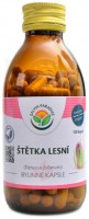 Štětka lesní 120 kapslí Dipsacus fullonum 