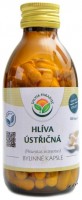 Hlíva ústřičná 120 kapslí Pleurotus ostreatus 