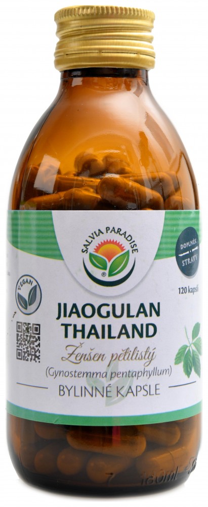 Jiaogulan thailand ženšen pětilistý 120 kapslí Gynostemma pentaphyllum