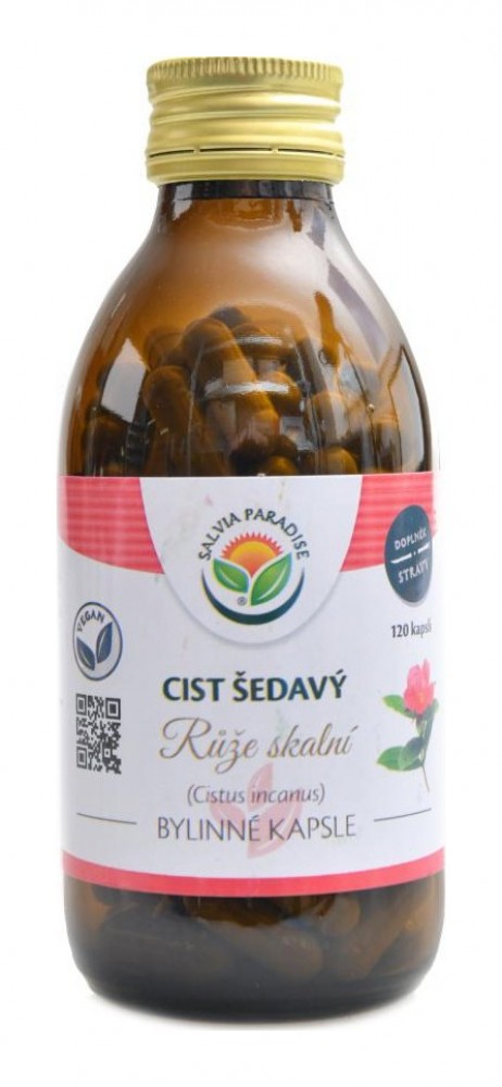 Cist šedavý růže skalní 120 kapslí Cistus incanus