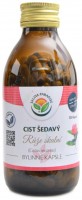 Cist šedavý růže skalní 120 kapslí Cistus incanus 