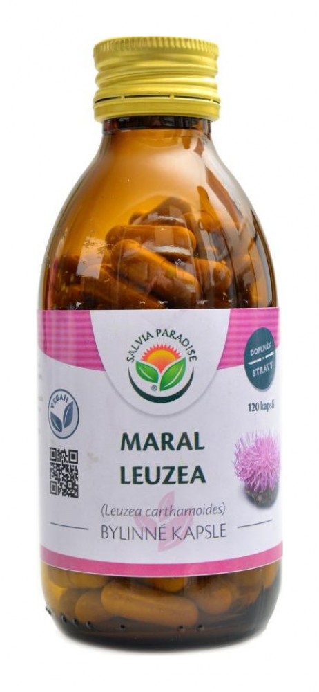 Maral leuzea 120 kapslí Leuzea carthamoides