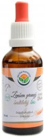 Ženšen pravý 6letý AF tinktura BIO 50 ml panax ginseng 