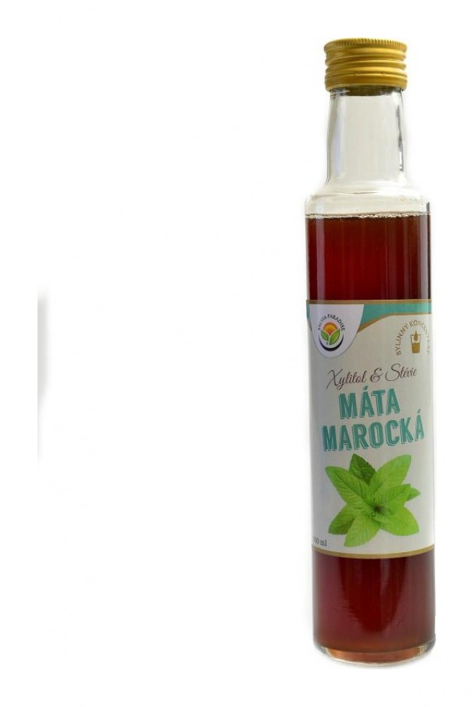 Máta marocká bylinný koncentrát 250 ml Mentha spicata