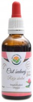 Cist šedavý růže skalní AF tinktura 50 ml Cistus incanus 