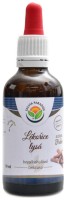 Lékořice AF tinktura 50 ml kořen Glycyrrhiza glabra 