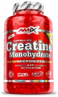 Creatine monohydrate 500 kapslí 750 mg 