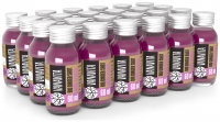 BIO Zázvorový shot s aronií - VanaVita 24 x 60 ml 