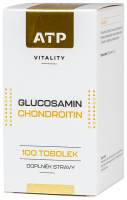 Vitality Glucosamin Chondroitin 100 tob 